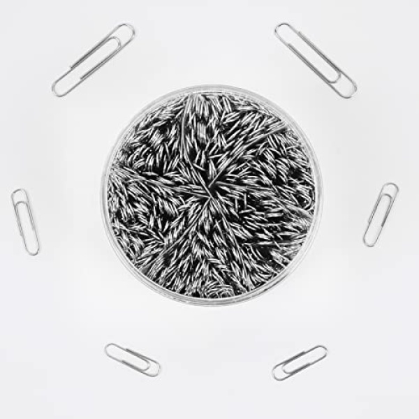 CToN 700 Pcs Paper Clips Assorted Sizes, Silver Paperclips for Office Home School and Personal Use(28 mm, 33mm, 50 mm) - Image 3