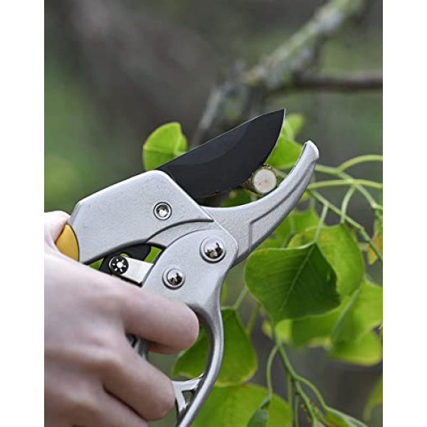 Premium Bypass Pruning Shears,Garden clippers, Gardening scissors,ratchet pruners shears, for orchard,tree, floral, live plants, arthritis weak hand gardening tools (Modern) - Image 2