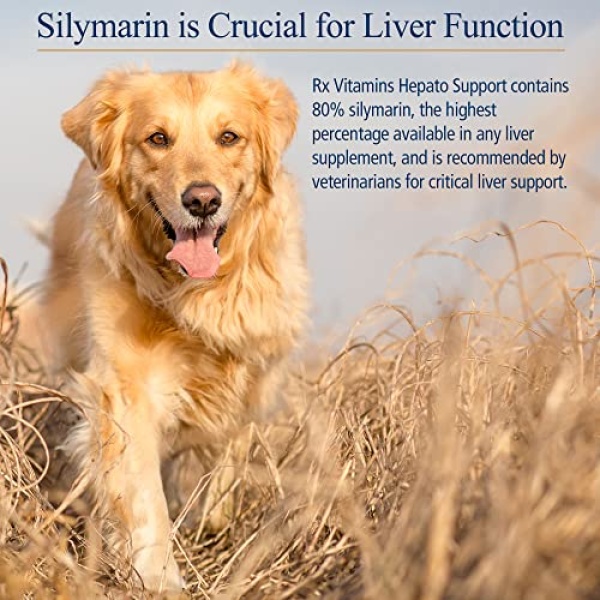 Rx Vitamins Hepato Support for Dogs & Cats - Milk Thistle Supplement for Pets - 100mg Milk Thistle for Healthy Liver Function - Silymarin Capsules for Pets - 180 ct. - Image 4