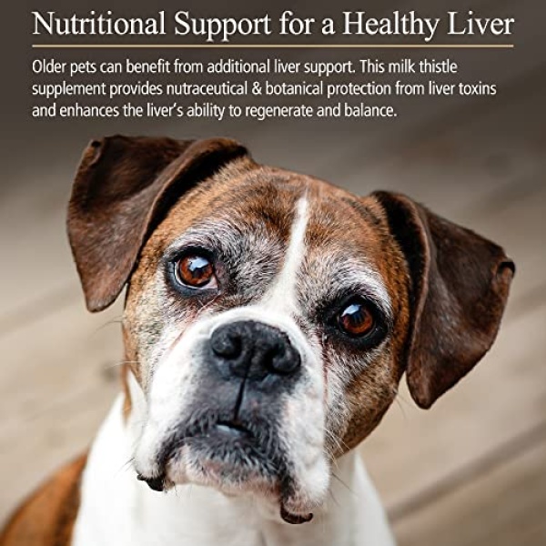 Rx Vitamins Hepato Support for Dogs & Cats - Milk Thistle Supplement for Pets - 100mg Milk Thistle for Healthy Liver Function - Silymarin Capsules for Pets - 180 ct. - Image 6