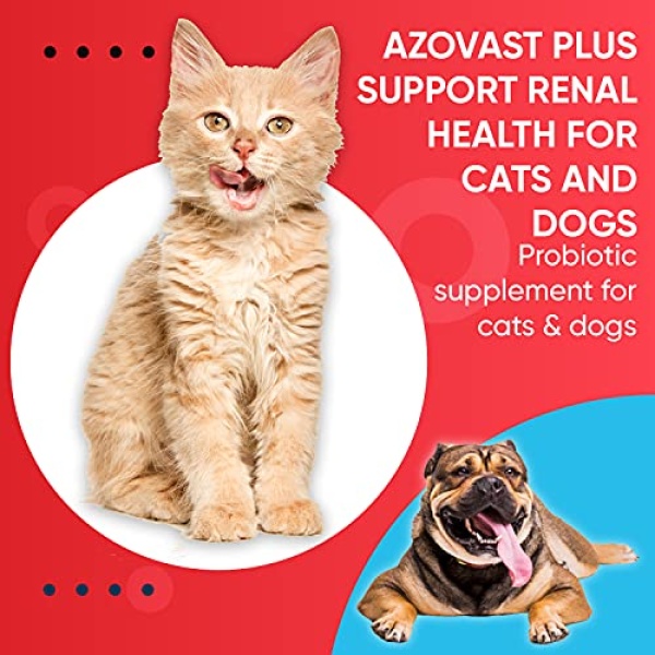 Azovast Plus Kidney Health Supplement for Dogs & Cats, 120ct - NO Refrigeration Required - Help Support Kidney Function & Manage Renal Toxins - Renal Care Supplement Capsule(U.S.A) (120 Caps) - Image 3