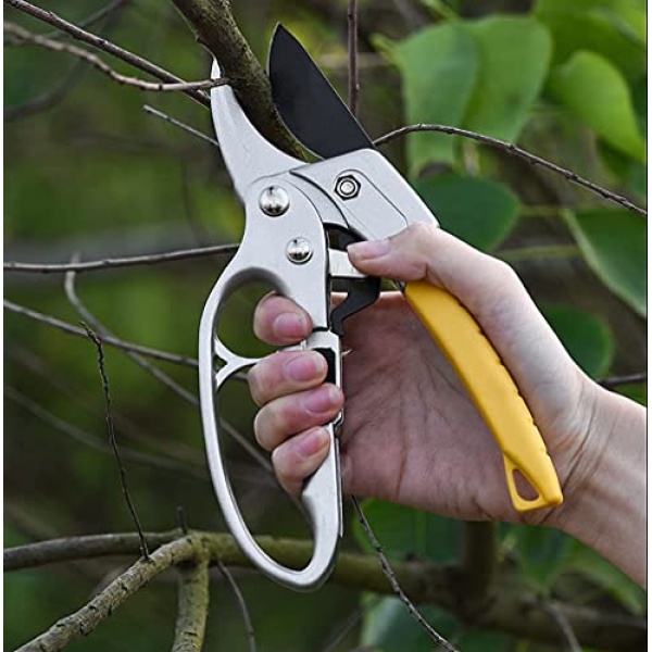 Premium Bypass Pruning Shears,Garden clippers, Gardening scissors,ratchet pruners shears, for orchard,tree, floral, live plants, arthritis weak hand gardening tools (Modern) - Image 3