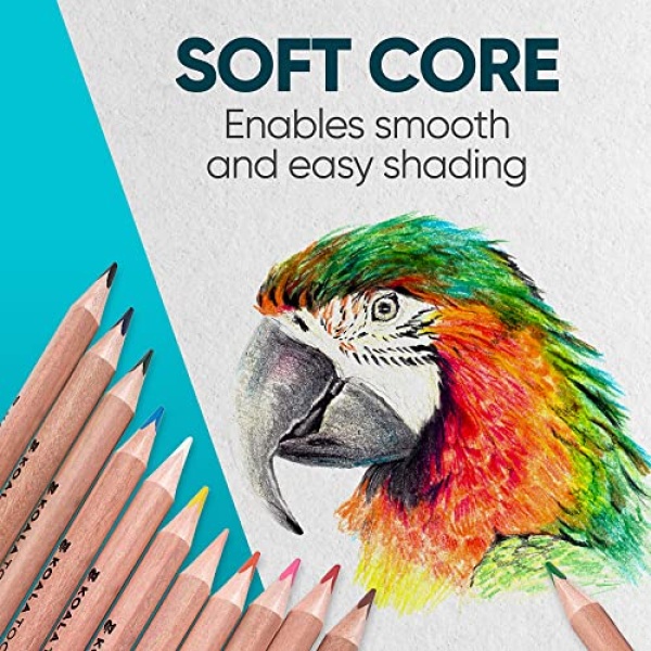 Koala Tools - Bear Claw Colored Pencils for Adults and Kids, Water Soluble Color Pencils with Triangular Grip for Art and Shading, Large Coloring Pencils, Pack of 12 - Image 7