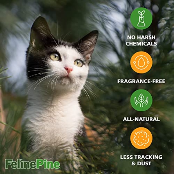 Feline Pine Platinum Non-Clumping Cat Litter 18lb. - Image 13