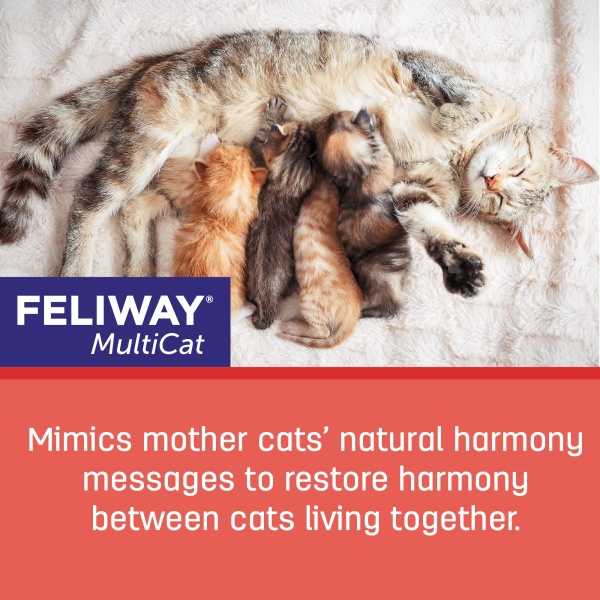 FELIWAY MultiCat Calming Pheromone Diffuser for house-cats, 30 Day Starter Kit (48 mL) - Image 3